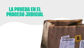 Prueba en el proceso judicial